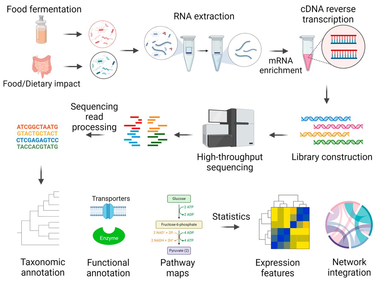 MetabolitesMDPI's tweet image. 🌟 #LastestPaper

📖 #Metatranscriptomics for Understanding the #Microbiome in #Food and #Nutrition Science 
🧑🏻‍🔬By Dr. Chunlong Mu, et al. 

🔗mdpi.com/2218-1989/15/3…