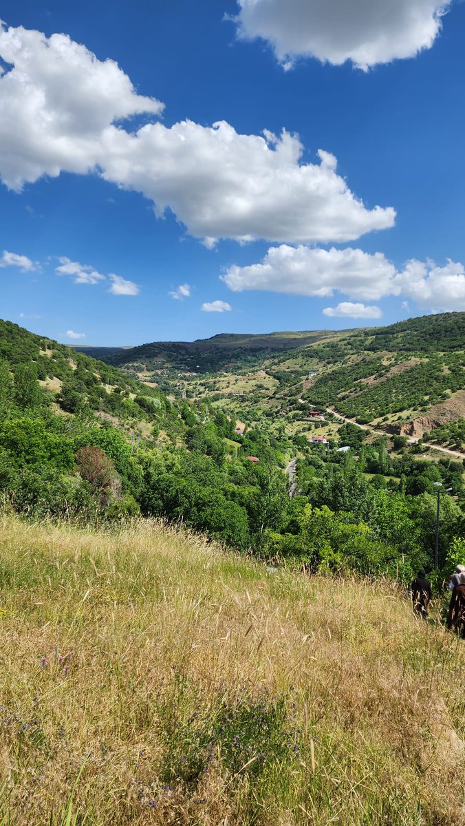 Gönlünüzce bir gün olsun
Günaydinlar..