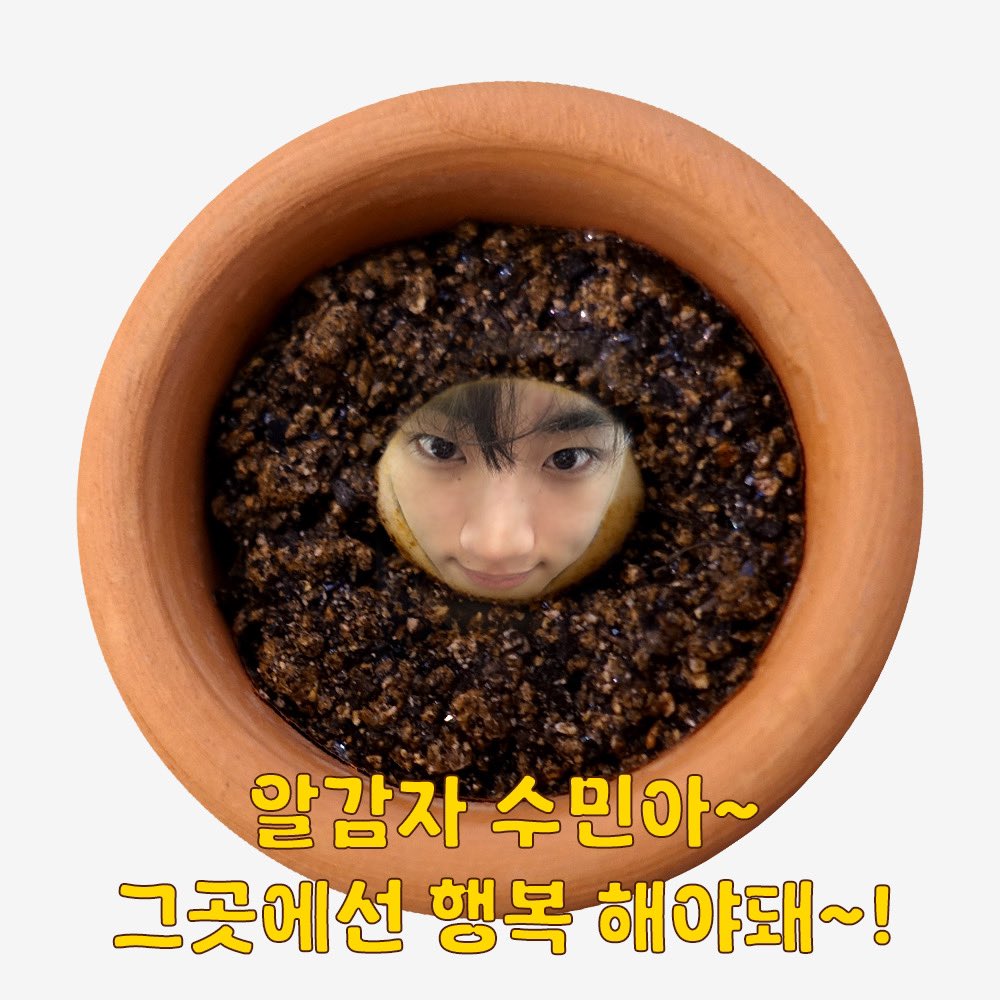 eastshine_tment's tweet photo. [샤태프 시선📸] 

반려 알감자가 유행이라더니..
이게 맞아??
머스캣의 알감자가 되고싶은 루민입니다🥔 

#이스트샤인 #EASTSHINE #イーストシャイン
#루민 #LUMIN #ルミン https://t.co/atq8qcP5FU