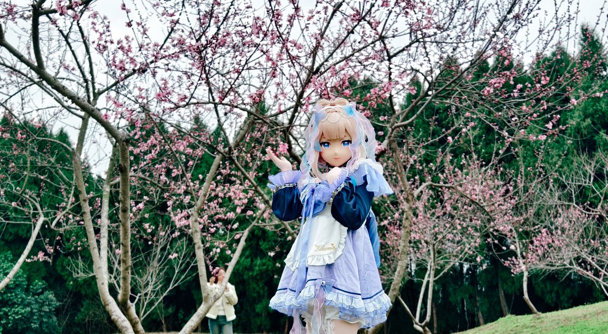 珊瑚宫心海樱花游园正片
后勤以及摄影:<a href="/anlina_lily/">上官·····</a> 
#原神cos 
#kigurumi 
#着ぐるみ 
#GenshinImpact 
#珊瑚宫心海