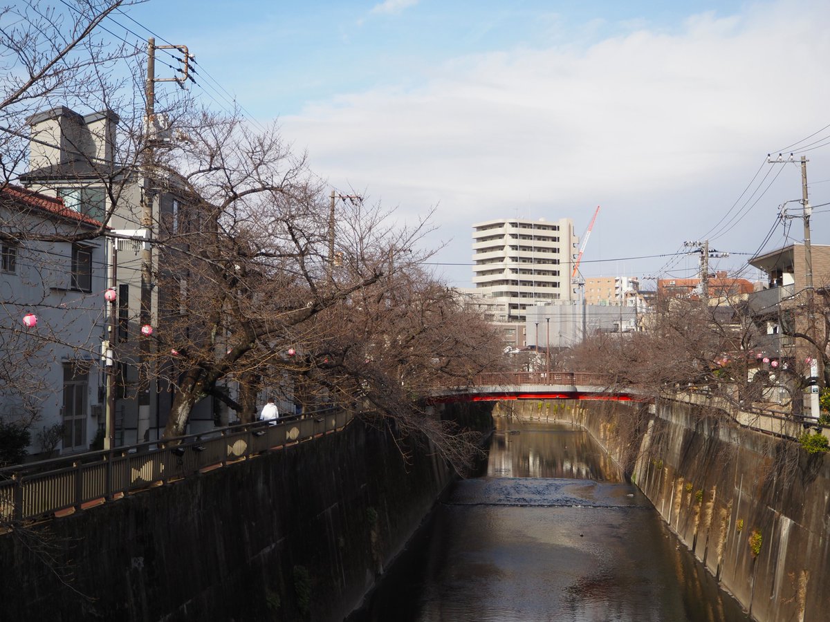 今朝の桜の様子です。
＊-＊-＊-＊-＊-＊-＊-＊-＊-＊-＊-＊-＊-＊-＊-＊-＊-＊-＊-＊
桜ライトアップ　3/21～4/3
サクラマルシェ　3/22　13時～19時
itabashi-kanko.jp/pickup/detail?…
＊-＊-＊-＊-＊-＊-＊-＊-＊-＊-＊-＊-＊-＊-＊-＊-＊-＊-＊-＊
#ぶらりいたばし #いいねいたばし #itabashi #板橋区
#東京