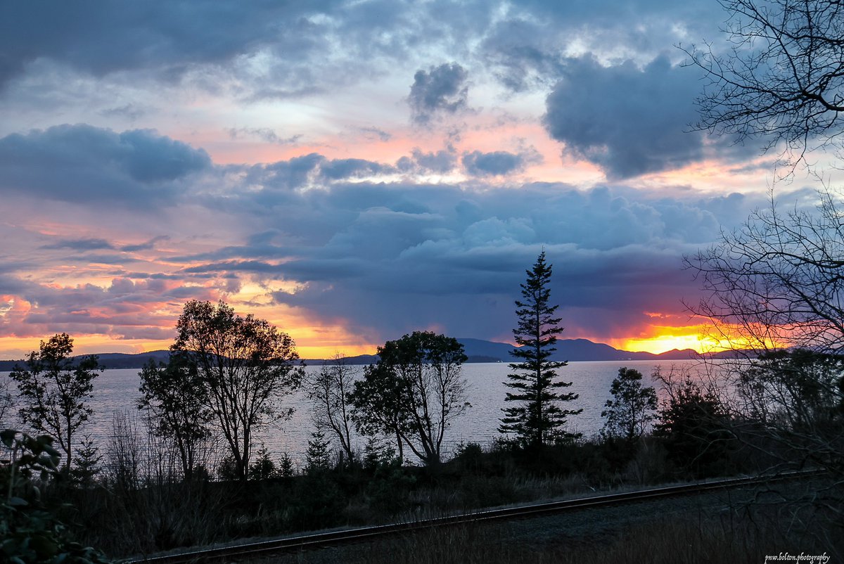 pnwboltonphoto's tweet photo. The was like a painting and on fire all at the same time. Chuckanut Drive has to be one of the most beautiful drives in western Washington.
#Washington #pnw #weather #drive #chuckanut #sunset https://t.co/PFy6t9G32o