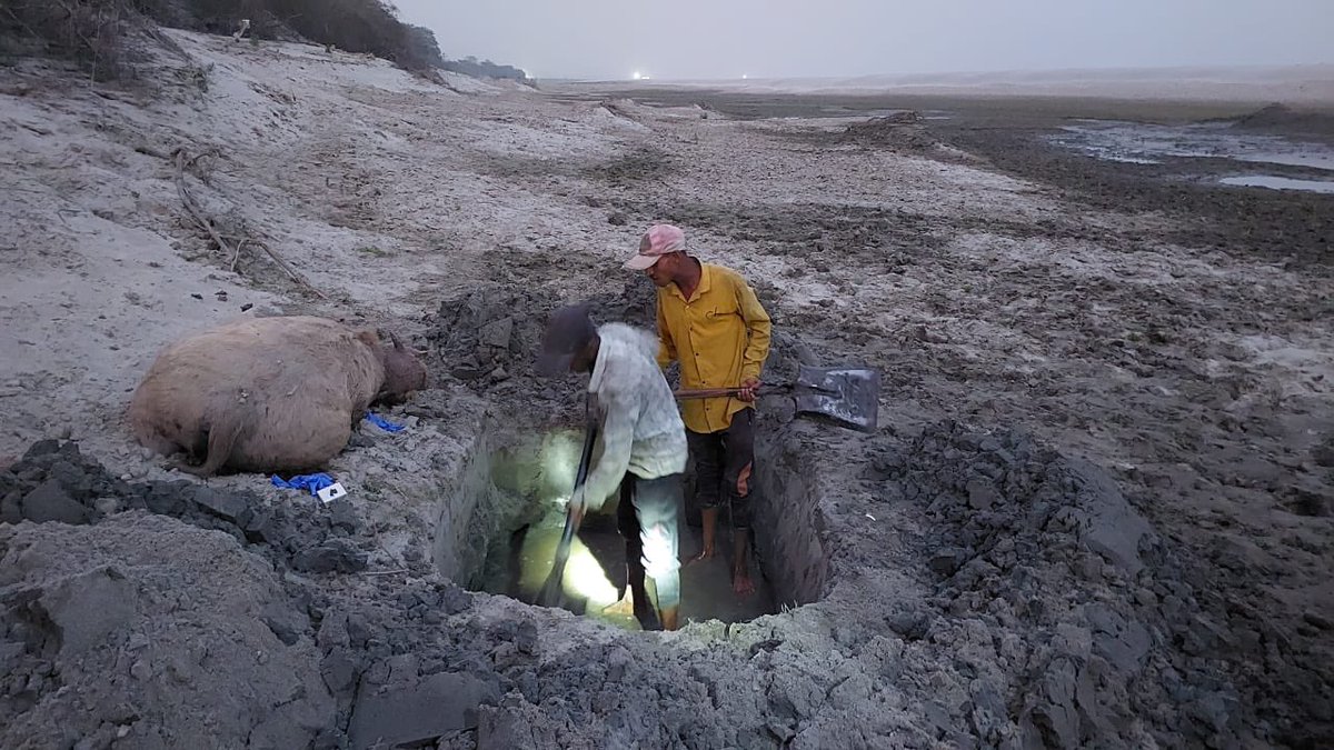 Response from our team &amp; <a href="/Dept_of_AHD/">Dept of Animal Husbandry & Dairying, Min of FAH&D</a> on the death of buffalo. 

<a href="/himantabiswa/">Himanta Biswa Sarma</a>, <a href="/cmpatowary/">Chandra Mohan Patowary</a>