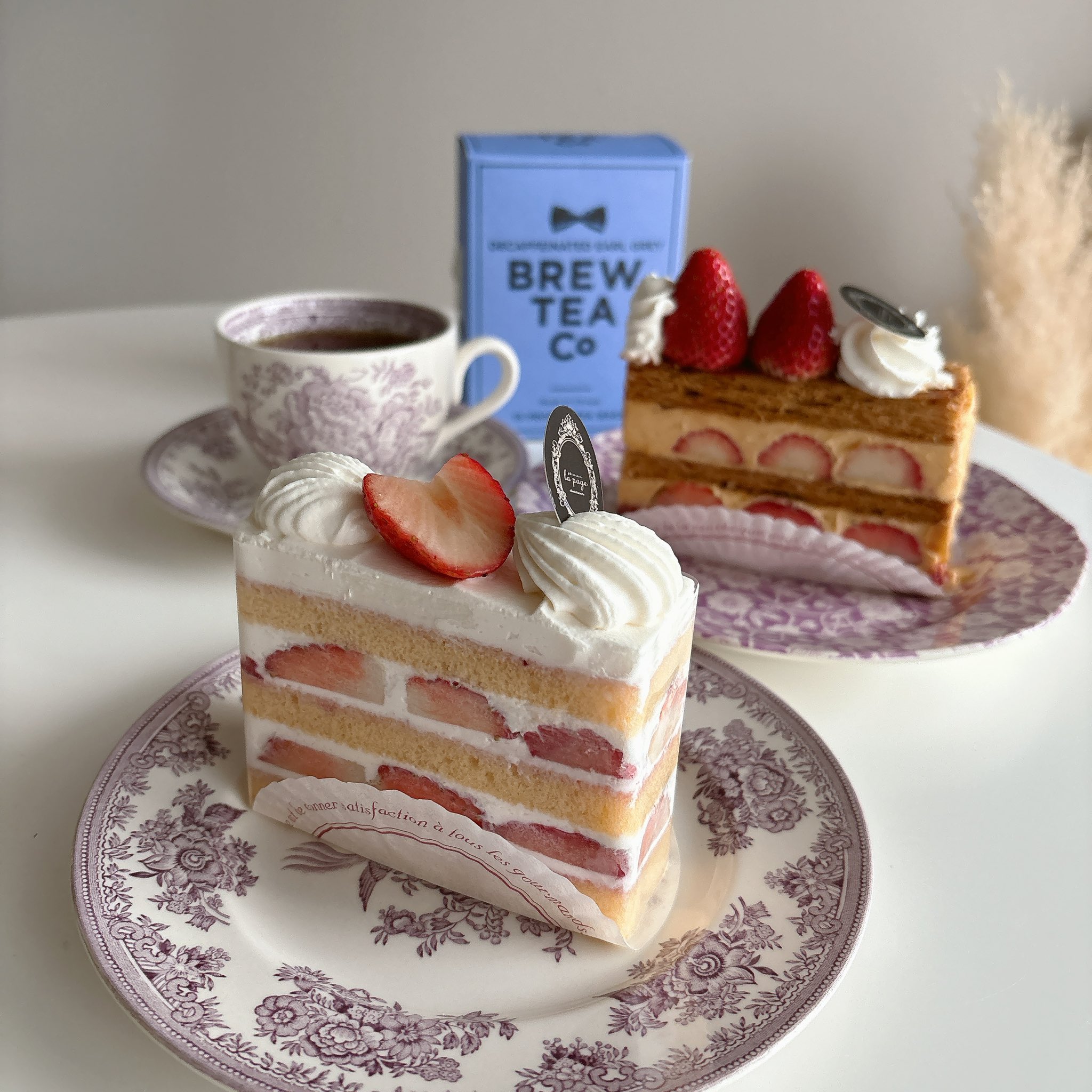 ショートケーキです★ TFS01 ショートケーキ