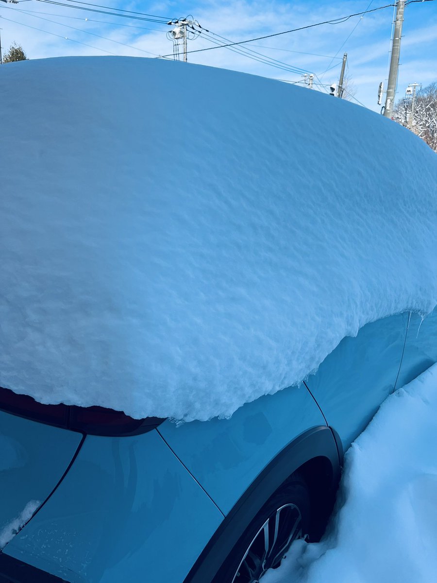 昨夜ギリギリに確定申告が完了して今朝車見たらこんなんなってた。

毎年ギリギリだけど、今年は過去イチやばかった〜

今年は絶対に絶対にコツコツやる！
と心に決めながら雪かきした。

けど昼の今、
何とかなるもんだとも思ってる。