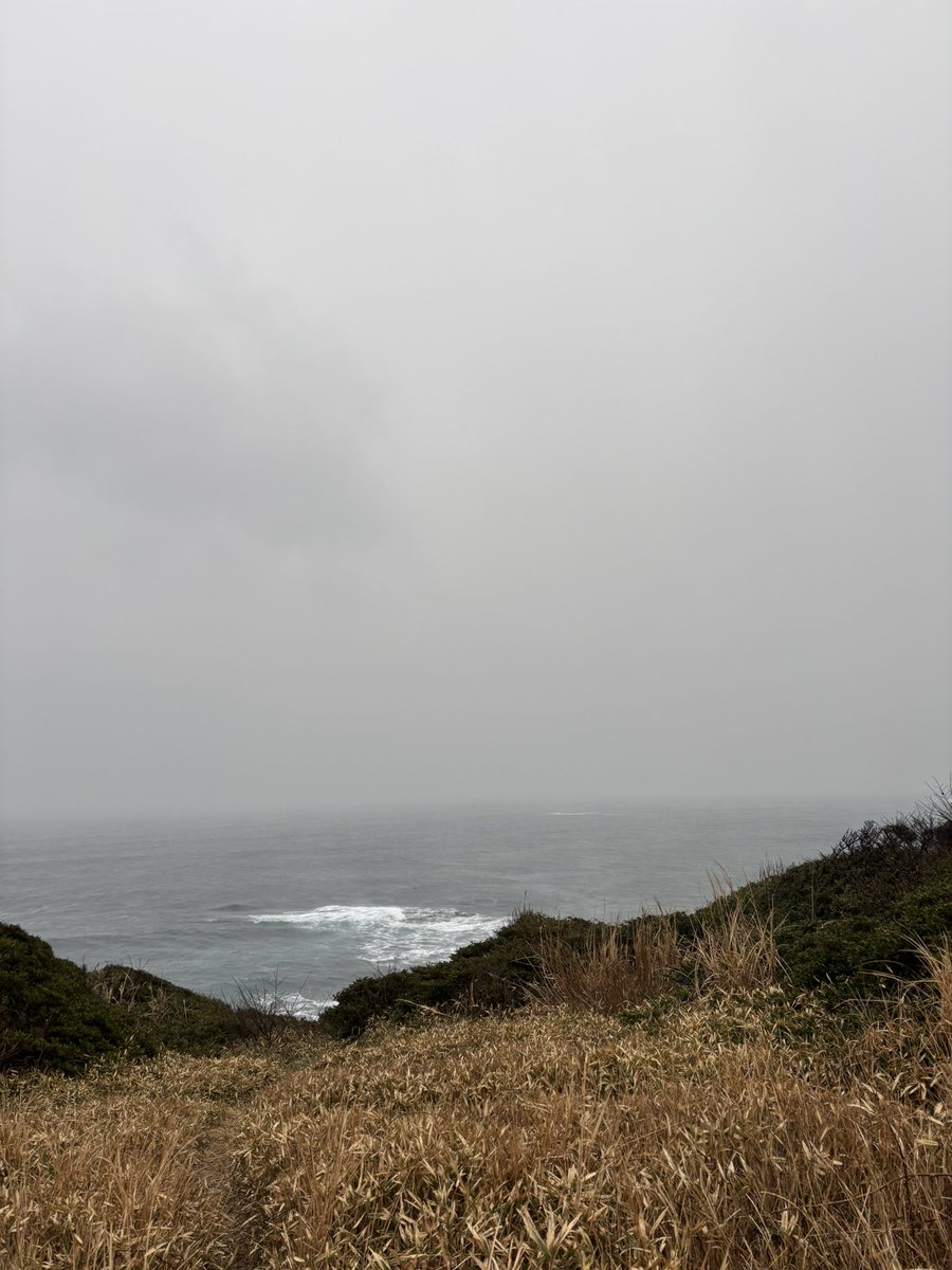 harutanoturi's tweet photo. 到着後鳥山発見して鳥山付近で釣り開始
ラインブレイク1バラシ完。
爆風大雨で急いで退散、寒すぎてどんどん直行美味しかった。
ヒラスズキ楽しすぎる…寂しくなるなあ
ラインブレイク悔しすぎ

#ヒラスズキ #ロックショア https://t.co/sdLCYR6UnQ