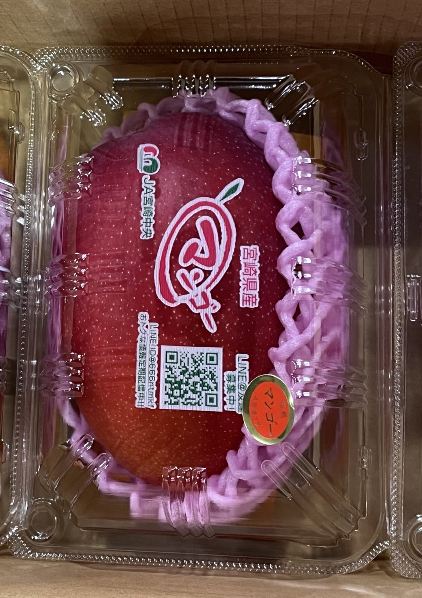 もうマンゴーがでてた！しかし高い🤯