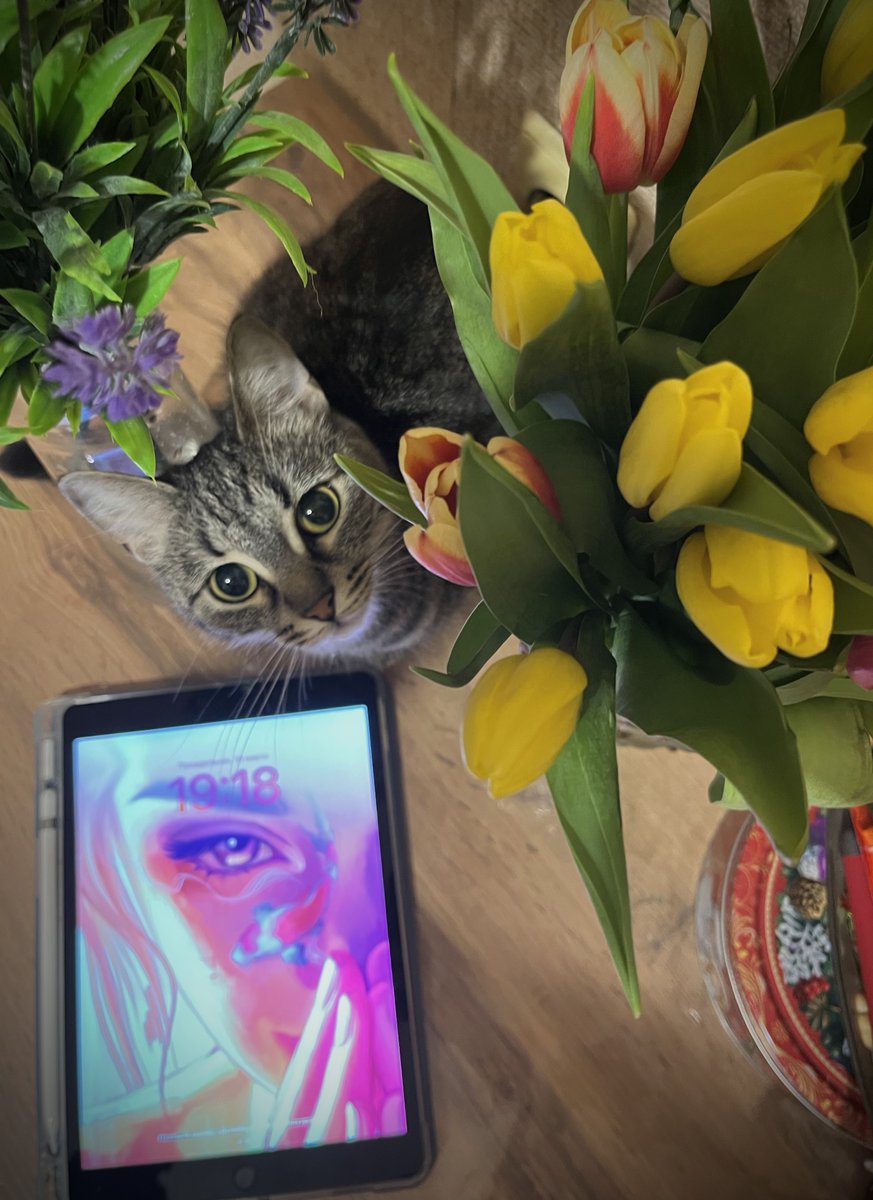 Good morning and happy #TEZOSTUESDAY 🌿

«Against the current»
13 tez
3 editions are available

(This cat is not for sale)