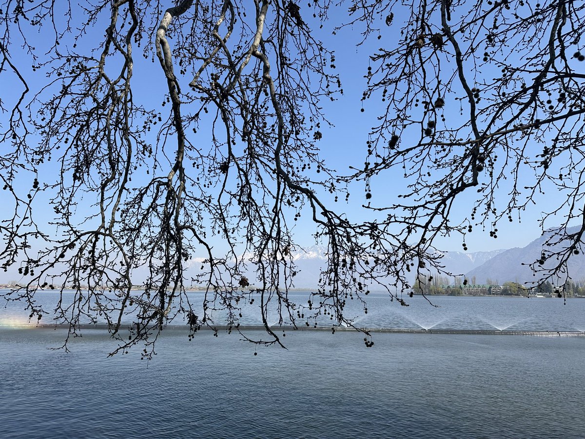 "The beautiful spring came, and when nature resumed her loveliness, the human soul is apt to revive also." Harriet Ann Jacobs