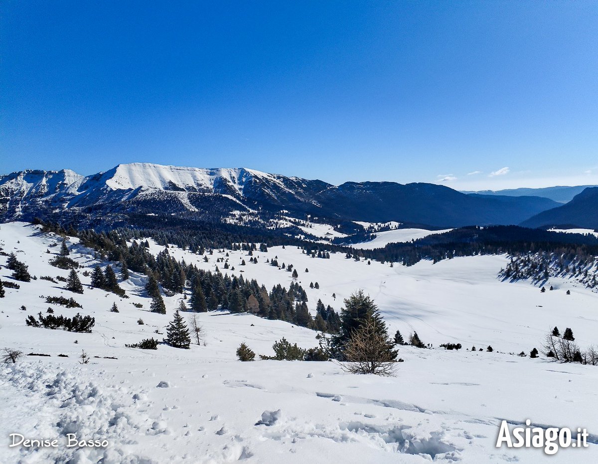 AsiagoIt's tweet photo. Buongiorno Altopiano Lovers! 💙😉 ... Oggi per voi uno scorcio di VAL FORMICA ancora avvolta nella neve, con il #PORTULE a fare da guardiano... 🤩 Un’ultima carezza d’inverno prima che tutto si trasformi in un tripudio di verde e fioriture!
📷 2/3/25
#Asiagoit https://t.co/fl0CjKVvI7