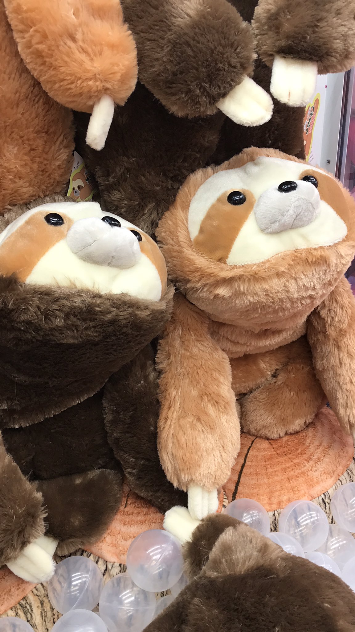 ナマケモノののんたくん　BIG　 ぬいぐるみ 抱き付き　ビッグサイズ タグ付き 販売数量10万個突破！“猫背”なあなたを支えるぬいぐるみ】ビッグ