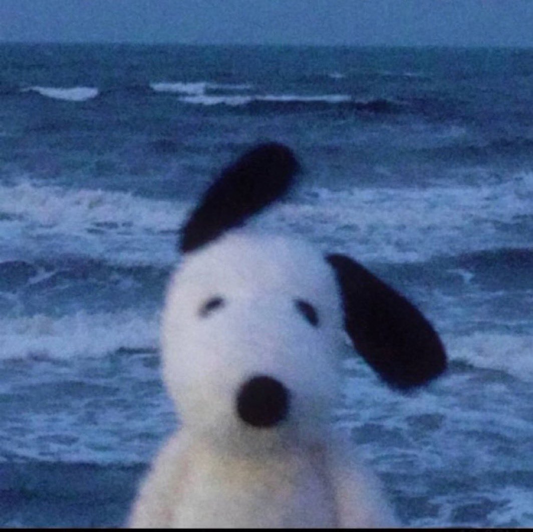 I’m still holding all my $DOUG.