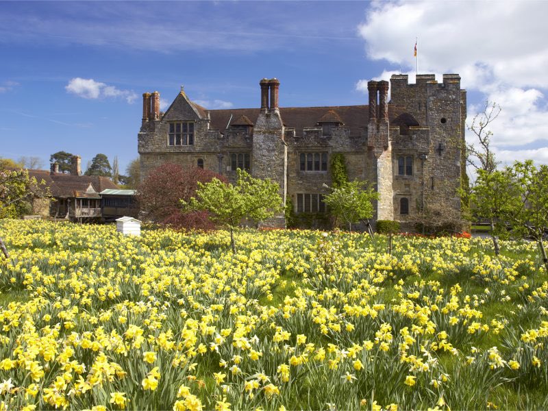 Fancy a ‘Wordsworth Walk’ to see some golden #daffodils? Then why not visit @hever_castle this Sunday? As well as the daffodils there’ll be #specialistnurseries there too as part of the @plantfairsroadshow event schedule. We’ll have lots of #beautiful #springplants for you to buy