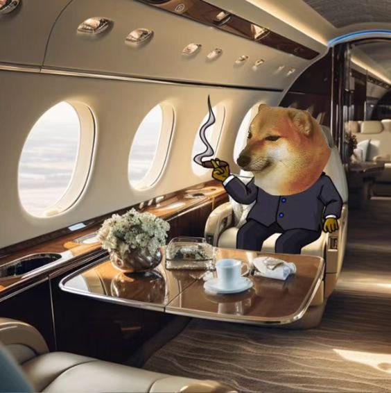 LordCheems_bsc's tweet photo. EZ Life 📈 🛩️ - Trader Cheems

#CheemsBSC #CheemsArmy $Cheems https://t.co/pO3vLpRW6r