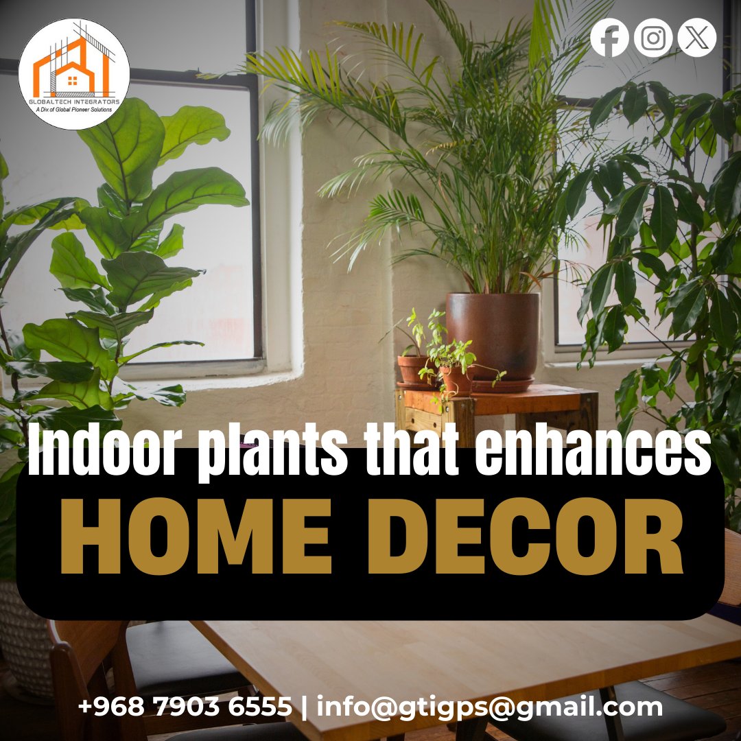 GTIntegrators's tweet photo. Transform your home into a green paradise! 🌿✨ Indoor plants not only enhance your décor but also bring positivity and freshness to your space. 🌱🏡

📞 Call or WhatsApp us at: +96879036555
 #HomeDecorGoals #GreenLiving #OmanInteriors https://t.co/QUxBP4Izi5