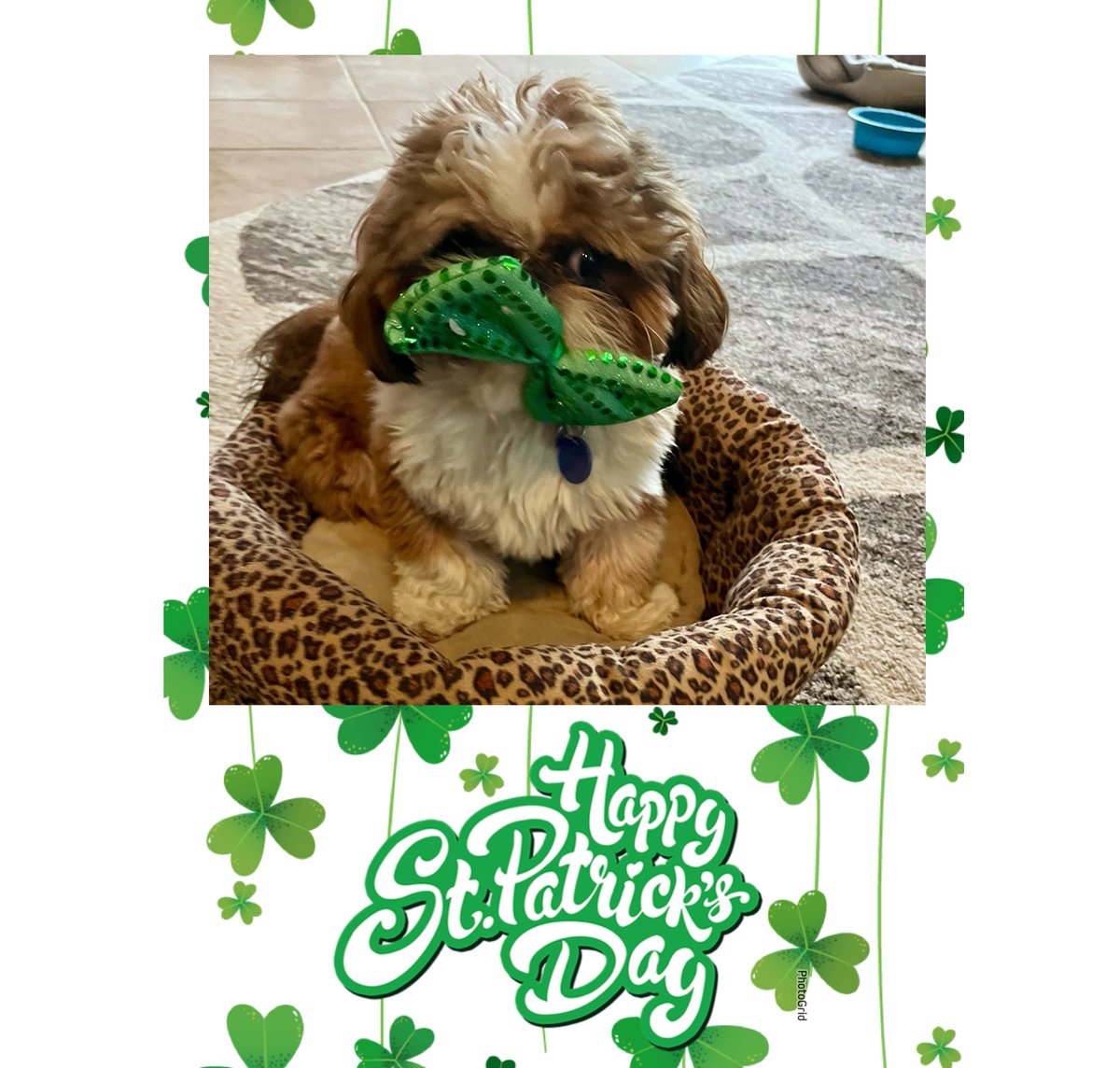 Steve Eggers tweet media