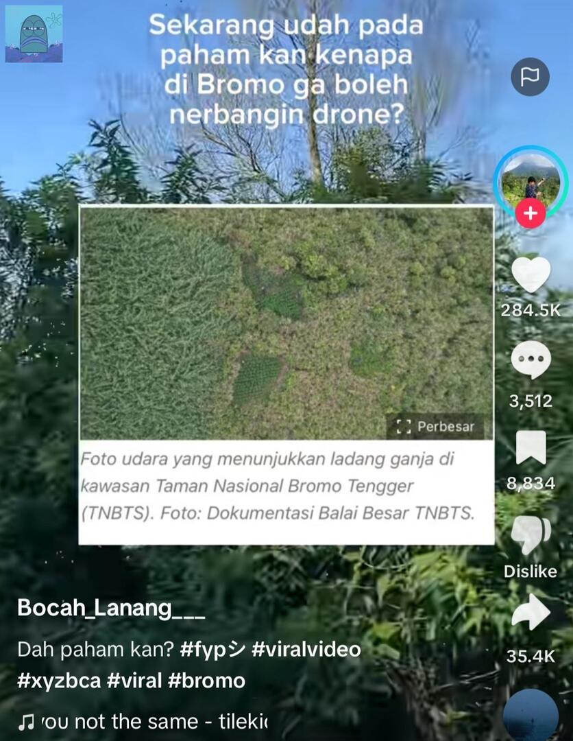 💚 
CW // TIKTOK
TW // DRUGS

ini kah yang lagi rame ? katanya gak boleh nerbangin drone di kawasan bromo eh ternyata ada ladang ganja dan baru ketauan sekarang