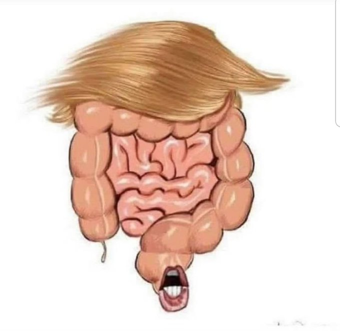 Anonymous (@youranoncentral) on Twitter photo 