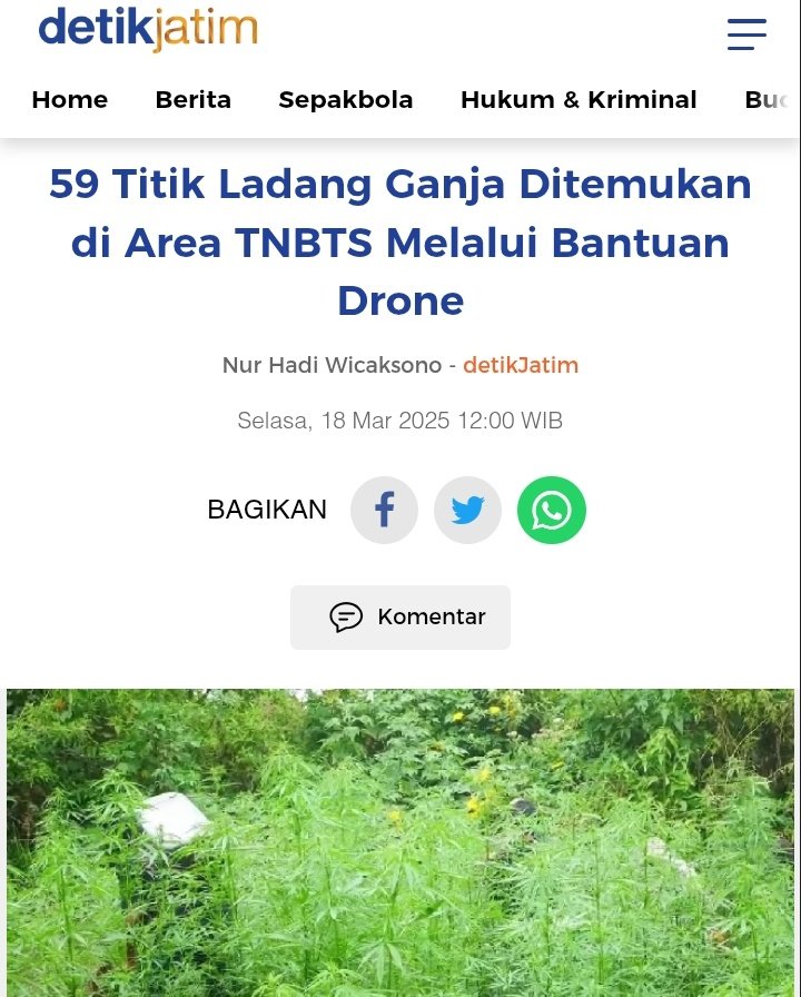 Miss Tweet | tweet media