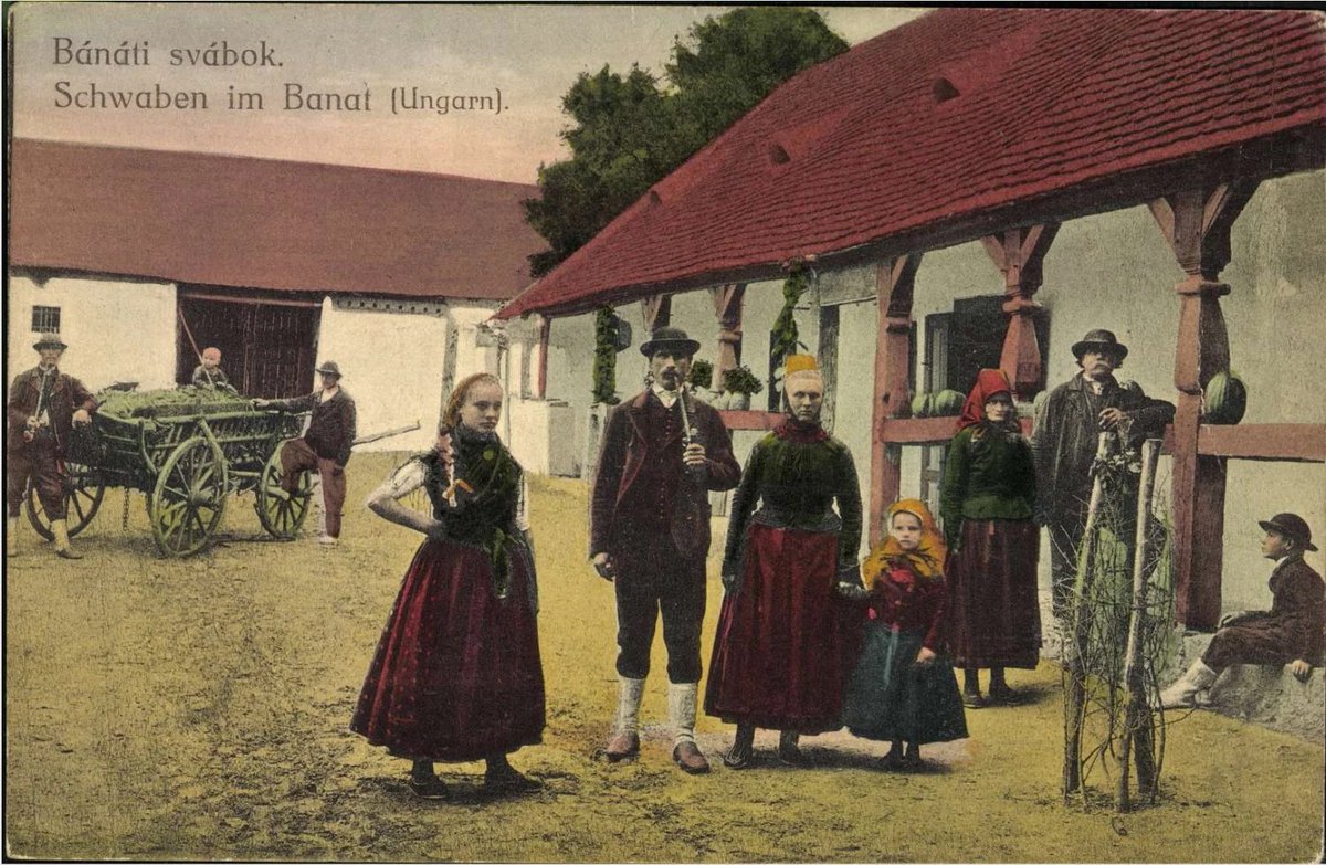 kingemp990's tweet photo. 🧵 A German Community in Romania 🇷🇴🇩🇪
The Banat Swabians were ethnic Germans who settled in the Banat region (now part of Romania, Serbia, and Hungary) in the 18th century. Here is their story (Bookmark this thread). 🎭🍞 

#BanatSwabians #GermanHeritage https://t.co/EOLLcVLC5c
