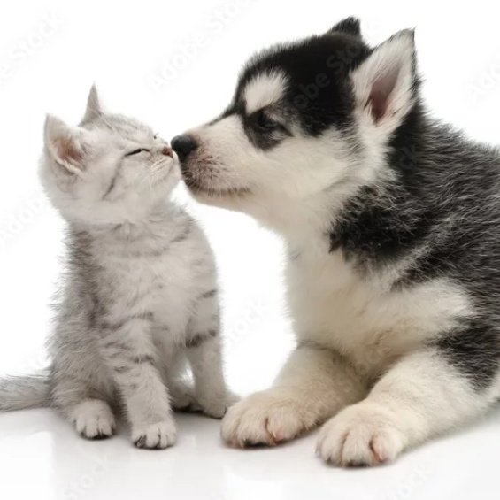 minchanpictures's tweet image. You look                                     Different