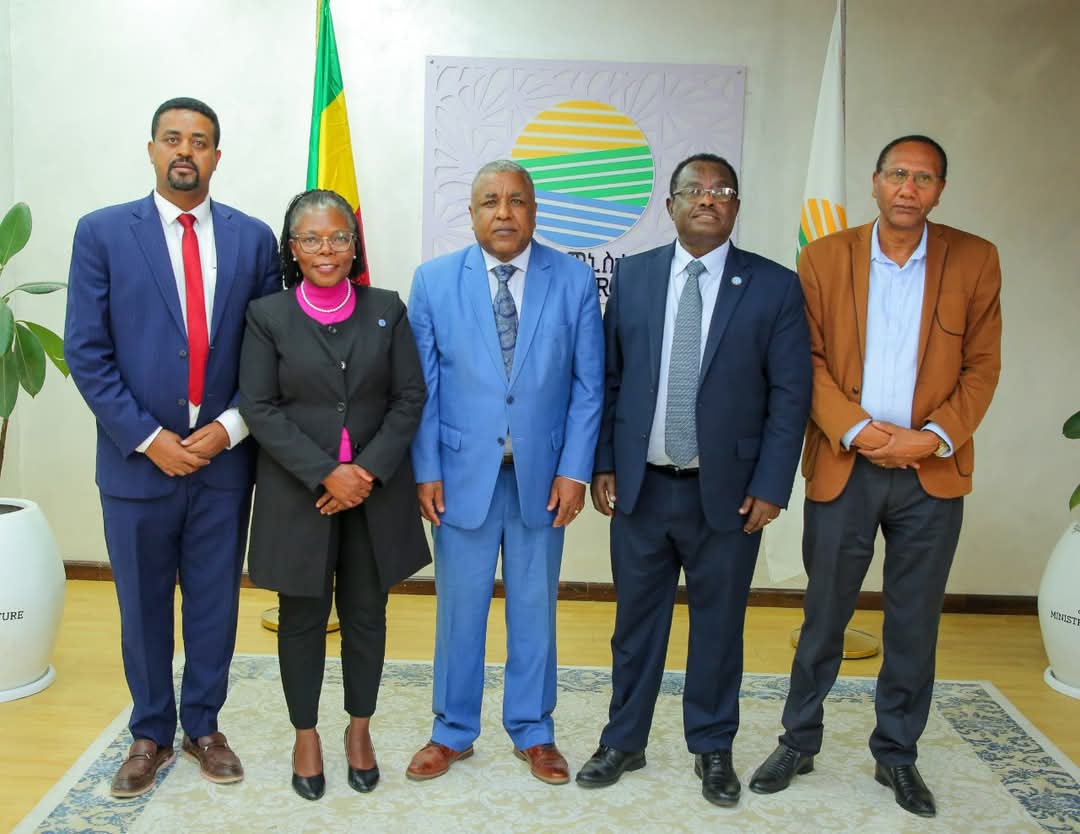 FAO Ethiopia (@faoethiopia) on Twitter photo Ethiopia is set to host #WorldBeeDay & 2nd Pollinators Forum (20-22 May 2025). <a href="/MoA_Ethiopia/">Ministry of Agriculture Ethiopia</a> Minster Girma Amente met <a href="/FAOAfricaADG/">FAOAfricaADG</a> <a href="/AbebeHGabriel/">Abebe Haile-Gabriel</a> & <a href="/ZimudziFarayi/">Farayi Zimudzi</a>, <a href="/FAOEthiopia/">FAO Ethiopia</a> Rep. to discuss preparations & collab. on agrifood systems transformation.
👉rb.gy/e29ebe Ethiopia is set to host #WorldBeeDay & 2nd Pollinators Forum (20-22 May 2025). <a href="/MoA_Ethiopia/">Ministry of Agriculture Ethiopia</a> Minster Girma Amente met <a href="/FAOAfricaADG/">FAOAfricaADG</a> <a href="/AbebeHGabriel/">Abebe Haile-Gabriel</a> & <a href="/ZimudziFarayi/">Farayi Zimudzi</a>, <a href="/FAOEthiopia/">FAO Ethiopia</a> Rep. to discuss preparations & collab. on agrifood systems transformation.
👉rb.gy/e29ebe