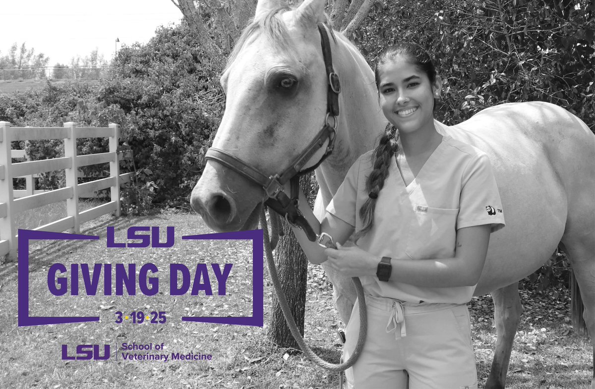 LSU Vet Med Dean (@lsuvetmeddean) on Twitter photo It’s just one more “sleep” until <a href="/LSU/">LSU</a> Giving Day! Let’s make it a record year for <a href="/LSUVetMed/">LSU Veterinary Med</a>, supporting our people & programs to advance our vision: #BetteringLives. Let’s bust through last year’s total! The link below goes live tomorrow:
givingday.lsu.edu/pages/school-o…
Thank you all! It’s just one more “sleep” until <a href="/LSU/">LSU</a> Giving Day! Let’s make it a record year for <a href="/LSUVetMed/">LSU Veterinary Med</a>, supporting our people & programs to advance our vision: #BetteringLives. Let’s bust through last year’s total! The link below goes live tomorrow:
givingday.lsu.edu/pages/school-o…
Thank you all!
