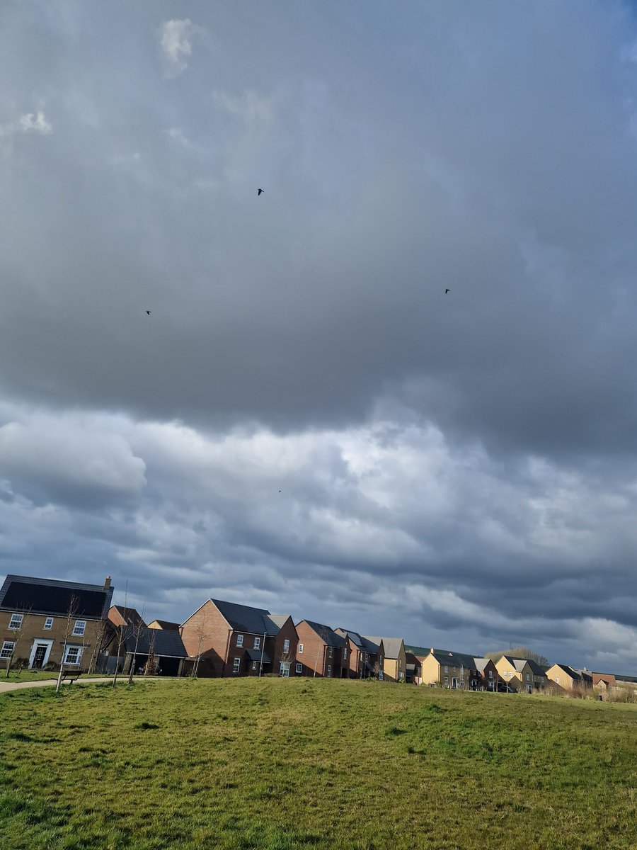 tracyhodge2's tweet photo. Managed to avoid the rain on last Thursdays' late afternoon toddler walk  - it was certainly chasing us!!  Had to wait 10mins before we could set off as it was hailing - we ended up being very lucky! #EarlyYears #learning #nature #EYFS #EYTwitterTagTeam ❤️🌨️🌪️ https://t.co/wmiWCbGBlN