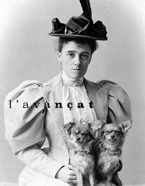 Paper de vidre tweet media