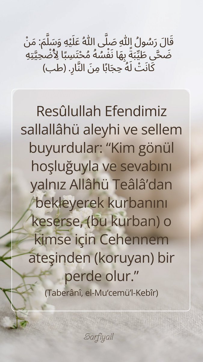 Sarfiyaill's tweet photo. قَالَ رَسُولُ اللهِ صَلَّى اللهُ عَلَيْهِ وَسَلَّمَ: مَنْ ضَحَّى طَيِّبَةً بِهَا نَفْسُهُ مُحْتَسِبًا لِأُضْحِيَّتِهِ كَانَتْ لَهُ حِجَابًا مِنَ النَّارِ. (طب)
#hzmuhammed #hzmuhammedsav #dini #aynet #ayetikerime #hadisişerif #hadisişerifler #hadisiserif #islam #i̇slam #din #kuran #karani #kuranıkerim #kuranikerimasktir #kuranikerimasktir #sözmühendisi #sozmuhendisi #hzmuhammedmustafa #hzmuhammedsallallahualeyhivesellem #RamadanMubarak #ramazanpaylaşımı #Ramazan2025 #RamazanRuhunuYaşat