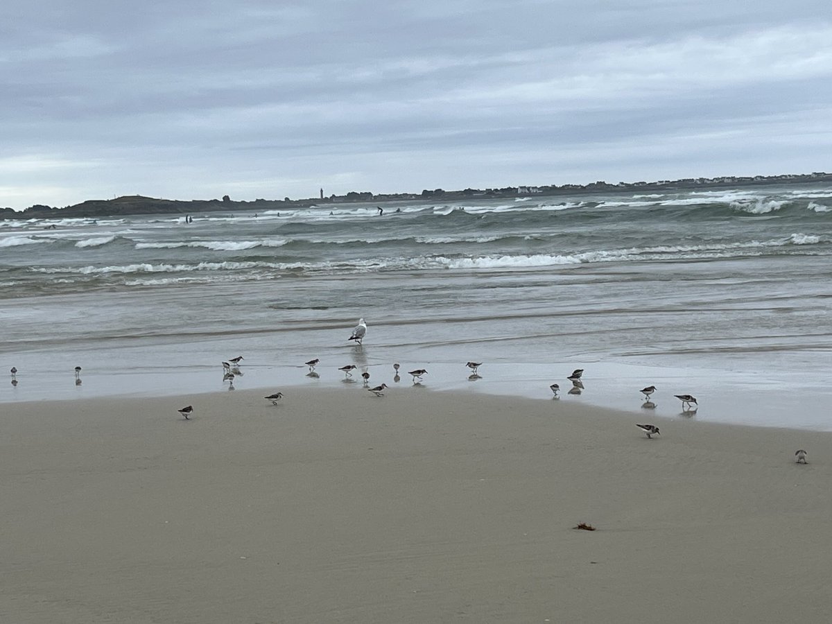 Belle journée 🤩 
#Bretagne #Finistere