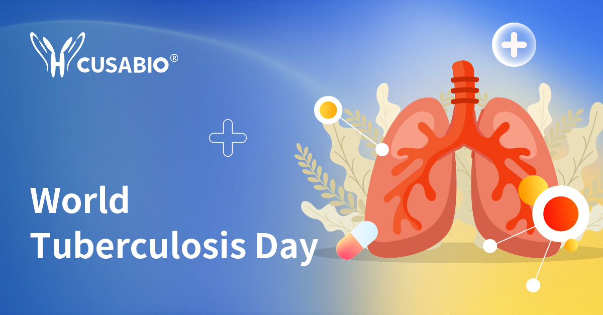 cusabio_mt's tweet image. 🦠 March 24 | World Tuberculosis Day
World TB Day commemorates the 1882 discovery of Mycobacterium tuberculosis by Robert Koch. TB, primarily transmitted through airborne droplets, most commonly affects the lungs.

CUSABIO provides high-quality research reagents, supporting…