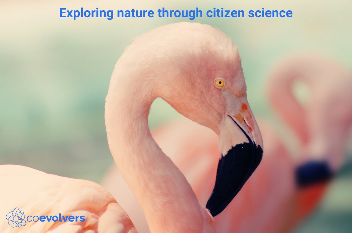 COEVOLVERS Project tweet media