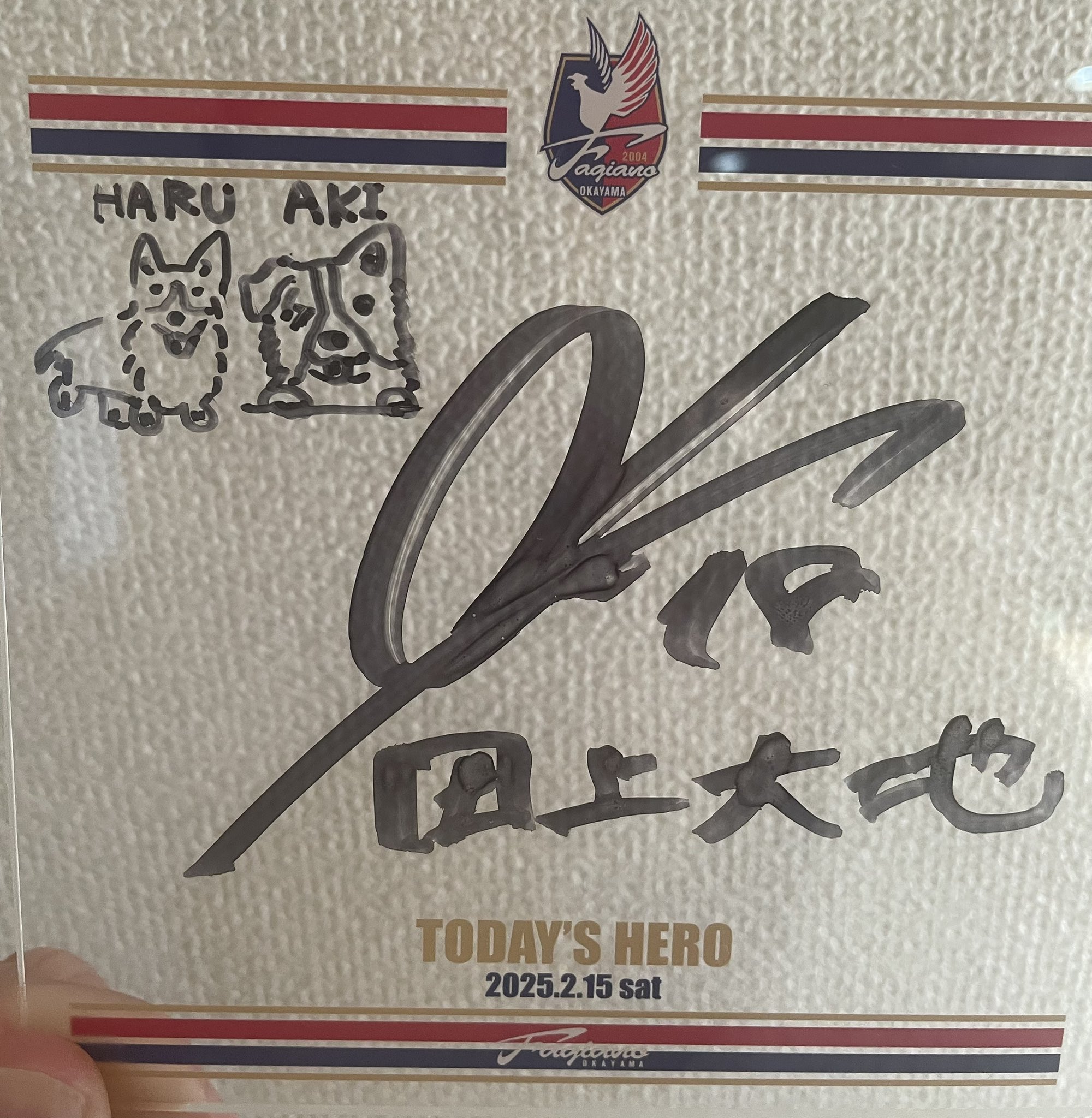 田上大地 Daichi Tagami on X: 田上大地 Daichi Tagami on X: