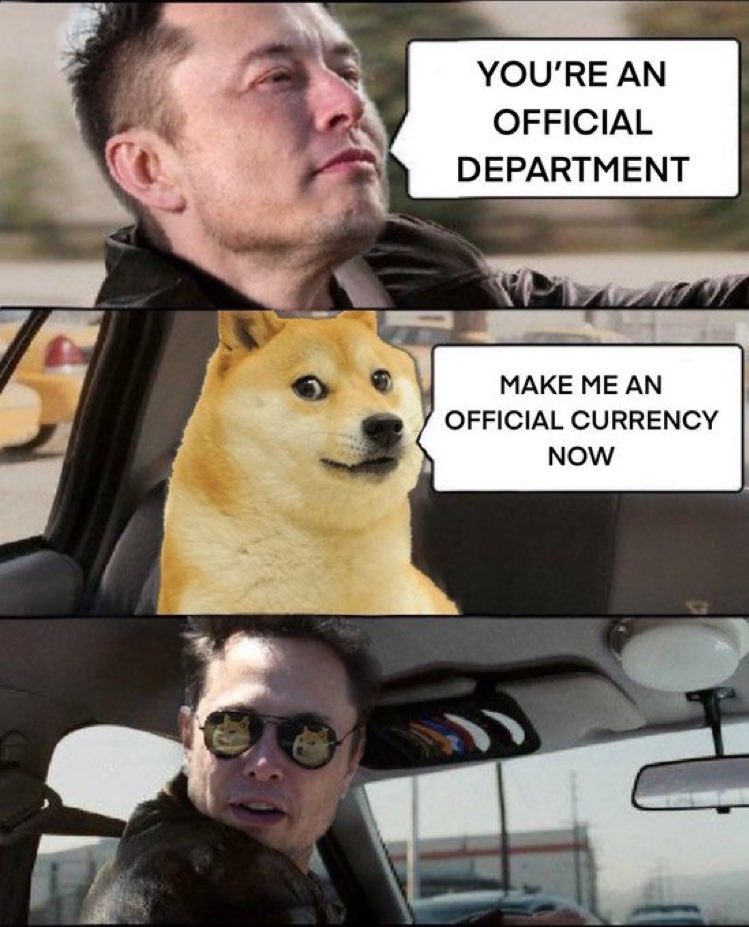 Make it official fam ✍️🫵

Vote DOGE