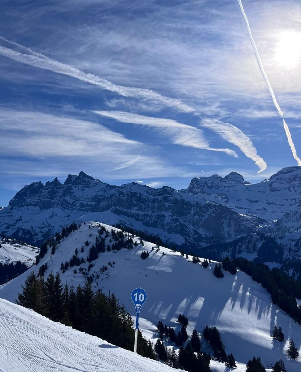 More Mountain tweet media