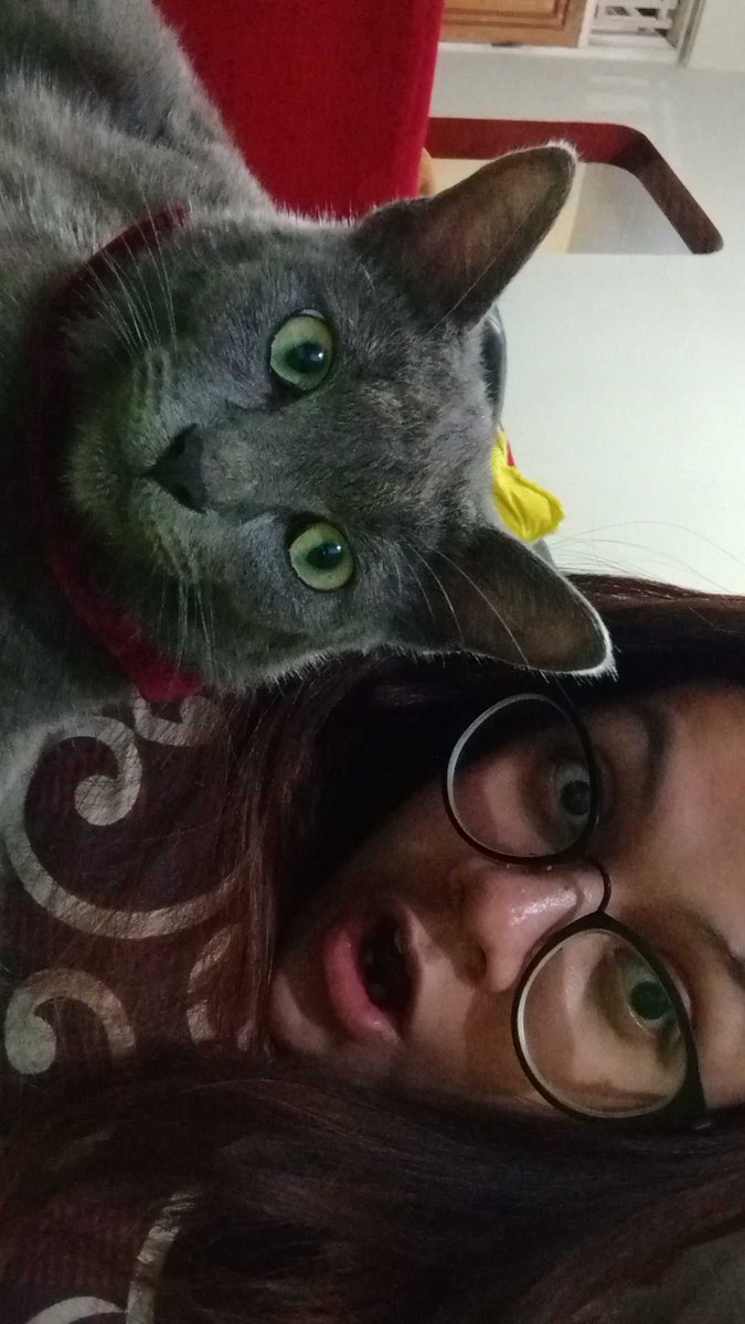 sebelum ada aku, teteh punya kucing juga yang suka digendong, namanya aboooo. tapi dia udah kabur guys dari rumah, udah bbrp bulan ga pulang pulang