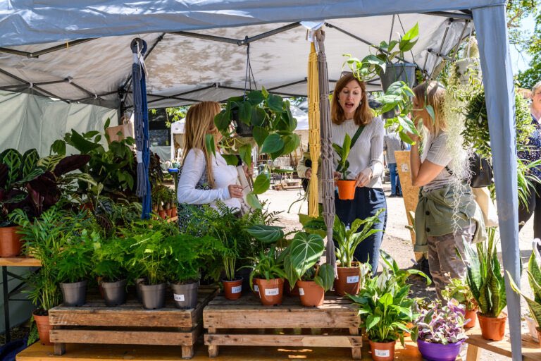 Toby's Garden Fest (@tobygardenfest) on Twitter photo Grab your shopping trolley! Check out all the brilliant plant nurseries joining us <a href="/tobygardenfest/">Toby's Garden Fest</a> on 2/3 May 2025 <a href="/powderhamcastle/">Powderham Castle</a> - tobygardenfest.co.uk/all-the-plant-… Grab your shopping trolley! Check out all the brilliant plant nurseries joining us <a href="/tobygardenfest/">Toby's Garden Fest</a> on 2/3 May 2025 <a href="/powderhamcastle/">Powderham Castle</a> - tobygardenfest.co.uk/all-the-plant-…