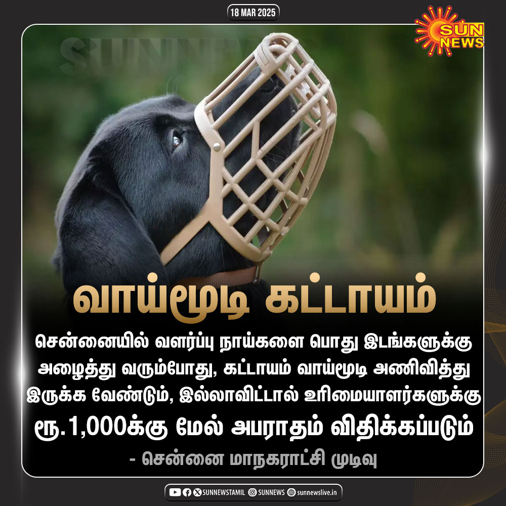 sunnewstamil's tweet photo. #JustNow | "வளர்ப்பு நாய்களுக்கு வாய்மூடி கட்டாயம், இல்லாவிட்டால் அபராதம்!"
- சென்னை மாநகராட்சி
#SunNews | #DogMuzzle | #ChennaiCorporation https://t.co/0925McW1hD