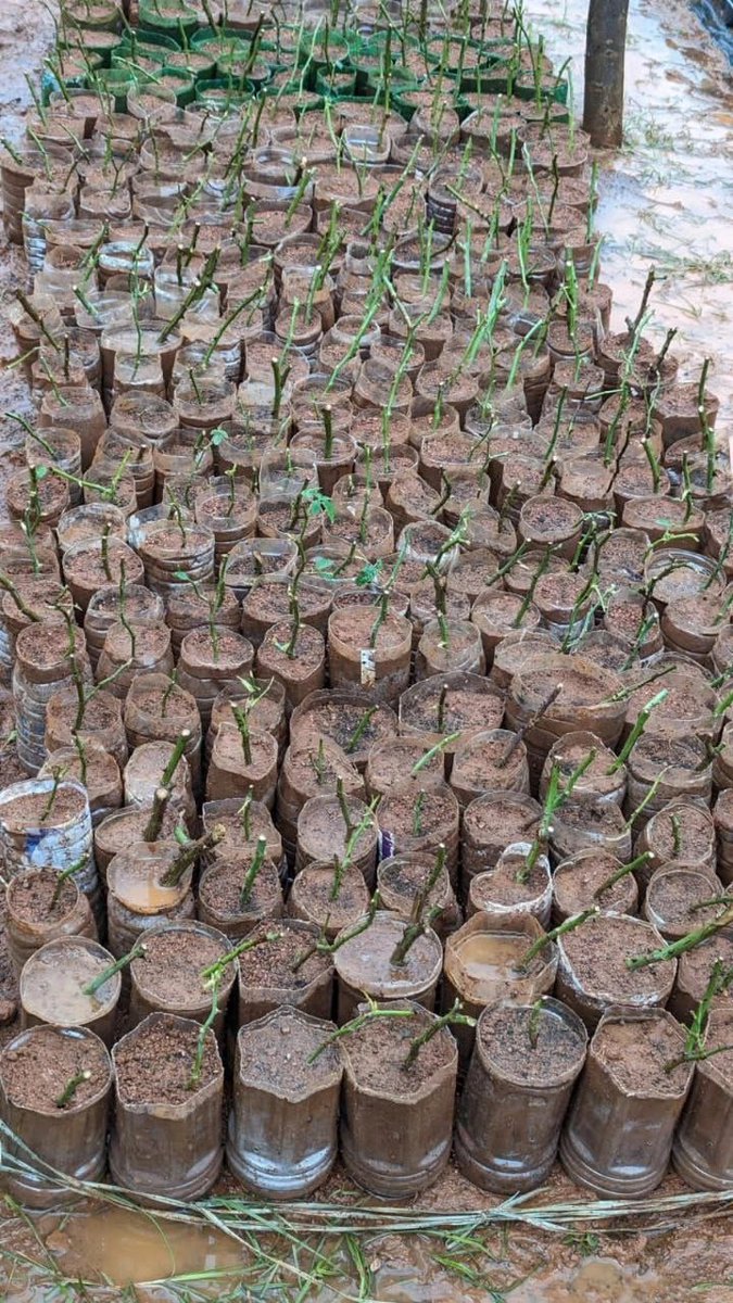 swachhasiddipet's tweet image. Today is #GlobalRecyclingDay! Recycling is not just an action—it’s a responsibility. Let’s commit to reducing waste, reusing materials, and recycling right. 🌍 #SwachhSiddipet #RefuseReduceReuseRecycle @swachhbharat @DoWRRDGR_MoJS @Collector_SDPT @AcSiddipet @TSSBMG