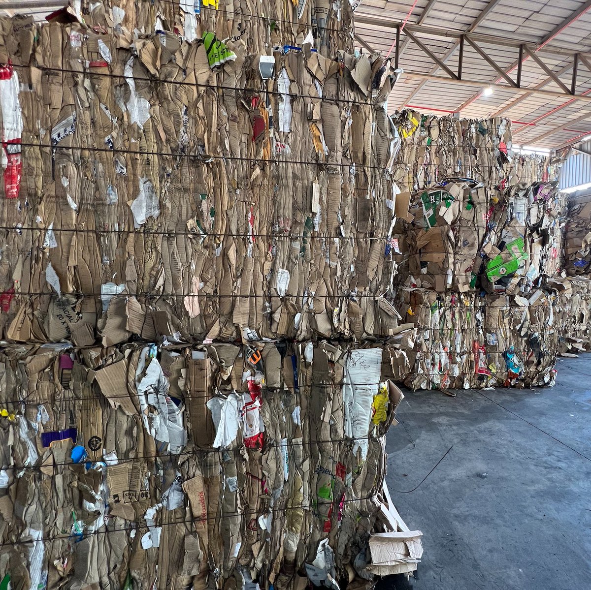 paperrocksza tweet media