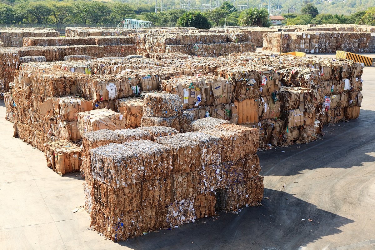 paperrocksza tweet media