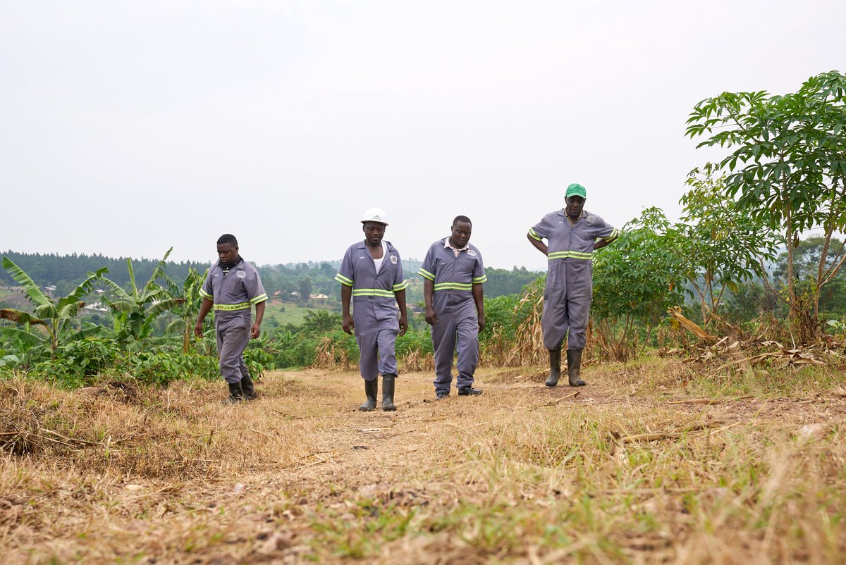 ZicofeOfficial's tweet photo. Our Foundation: Core Values.

At ZICOFE, we're guided by our core values of Accountability, Honesty, Efficiency, Professionalism, Teamwork, and Excellency.

These values shape our interactions with farmers, partners, and customers, ensuring ethical and sustainable practices. https://t.co/EY8pJSDgMP