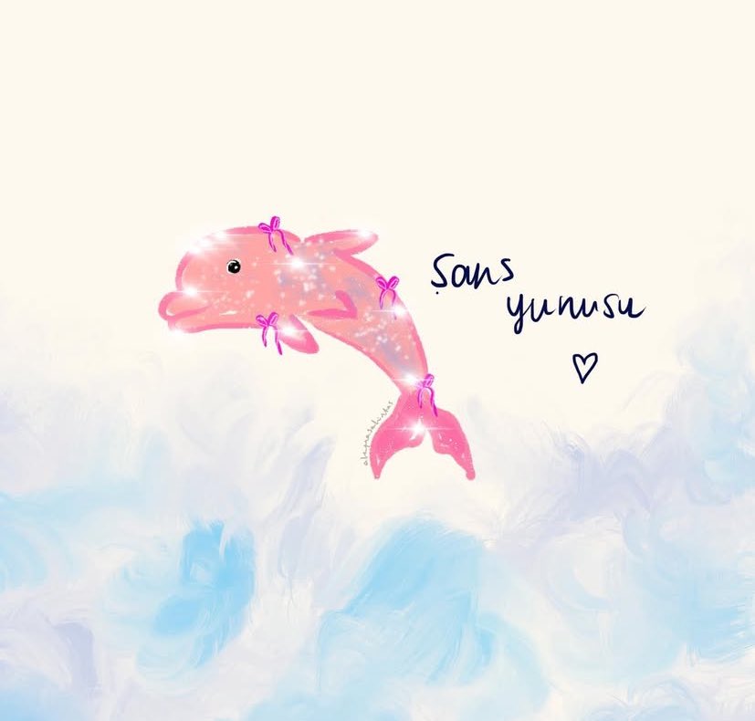 🐬