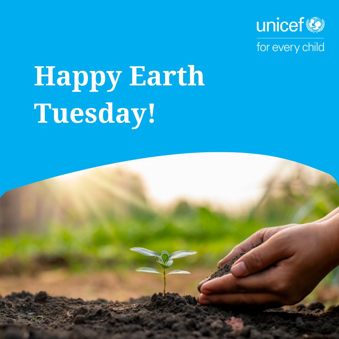 unicef_aze's tweet photo. Happy Earth Tuesday! 🌿
As we welcome the new season, let’s also renew our care for the soil beneath our feet & the future of our planet. Every tree we plant, every step we take for nature, makes tomorrow greener. 🌍✨ #Nowruz #EarthTuesday #ClimateAction https://t.co/iq03zOceWA