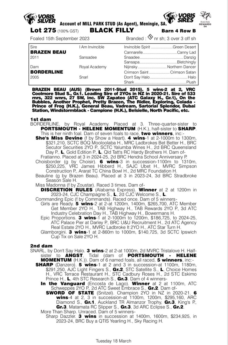 Shane Nichols Racing (@shanenicholsrac) on Twitter photo A Brazen Beau filly from <a href="/millparkstud/">Mill Park Stud</a>, we’ve been here before. It’s the same formula as our G3 filly Brazen Style.
This striking black filly is out of the Royal Academy mare Borderline and was secured for $80,000 at the <a href="/mmsnippets/">Magic Millions</a> Adelaide Sale.
shanenicholsracing.com.au/horse-for-sale… A Brazen Beau filly from <a href="/millparkstud/">Mill Park Stud</a>, we’ve been here before. It’s the same formula as our G3 filly Brazen Style.
This striking black filly is out of the Royal Academy mare Borderline and was secured for $80,000 at the <a href="/mmsnippets/">Magic Millions</a> Adelaide Sale.
shanenicholsracing.com.au/horse-for-sale…
