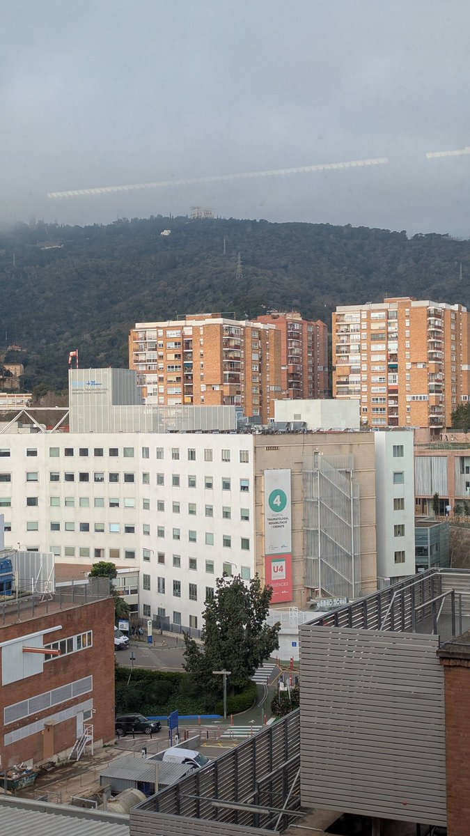 Jaume Mestre (@jaume_mt) on Twitter photo Avui hi ha la Jornada de Portes Obertes per futurs R1.
Serem aquí esperant per explicar-vos la nostra forma d'aprendre / ensenyar. Qualsevol dubte els <a href="/internavalle/">Residents Medicina Interna Hospital Vall d’Hebron</a> o els tutors estarem encantats de parlar amb vosaltres ✨✨
<a href="/Sociedad_SEMI/">Sociedad Española de Medicina Interna (SEMI)</a> Avui hi ha la Jornada de Portes Obertes per futurs R1.
Serem aquí esperant per explicar-vos la nostra forma d'aprendre / ensenyar. Qualsevol dubte els <a href="/internavalle/">Residents Medicina Interna Hospital Vall d’Hebron</a> o els tutors estarem encantats de parlar amb vosaltres ✨✨
<a href="/Sociedad_SEMI/">Sociedad Española de Medicina Interna (SEMI)</a>
