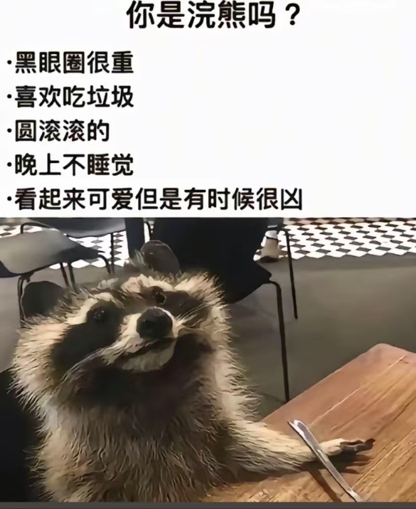 媒体预览