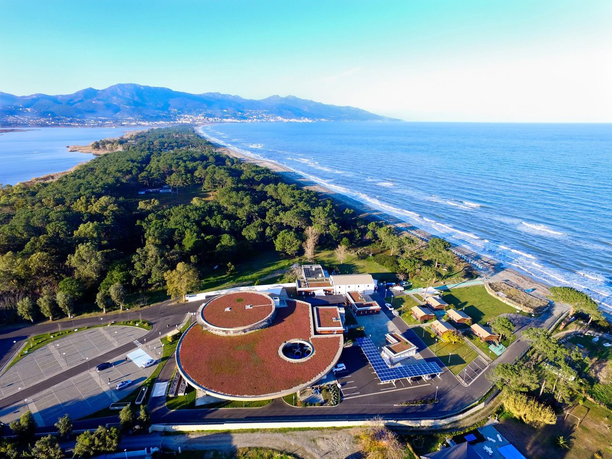Università di Corsica tweet media