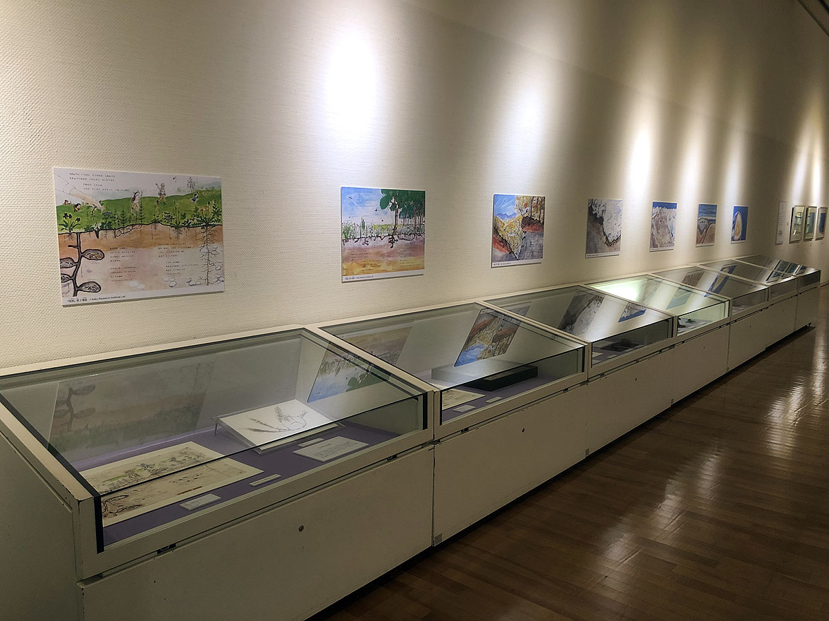 KMNH_special's tweet photo. 【ここが見どころ👀】
展示している『地球−その中をさぐろう−』（福音館書店）の下絵6点は、
#かこさとし さんの直筆です。
正確で迫力ある筆致と、表現方法を練った跡を、
間近にご覧いただけます。
第2、6、18場面の下絵は✨全国初公開✨です　
#かこさとし #いのちのたび博物館 https://t.co/AclvScswQB